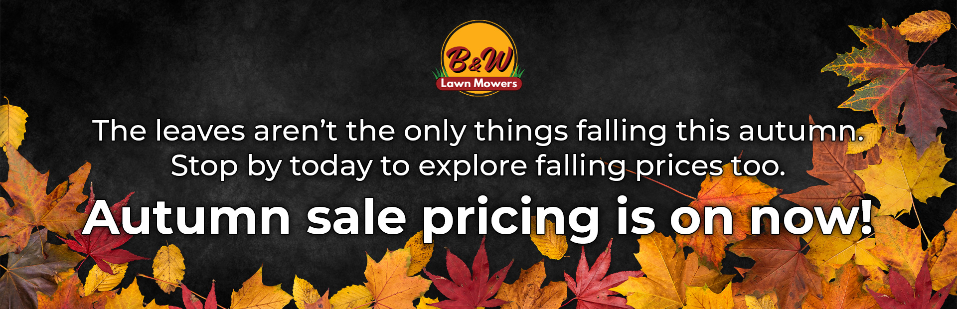 Fall Pricing Banner
